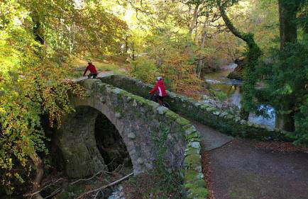 Thistle Thatch Cottage and Hot Tub - Mourne Mountains - Foto 22