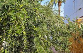 Casa De Lince calle Rio Ebro 48 - Foto 59