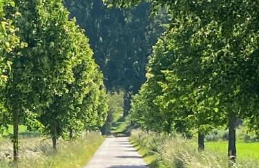 Ferienwohnung im wunderschönen Altmühltal - Foto 20