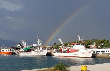 Kontogiannis Lihas Club - Photo 16