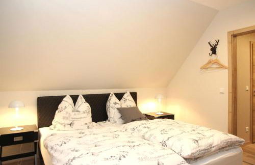 Xavers Ranch - Foto 47