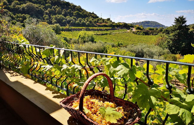 La Tinaia Country House - Photo 67