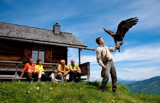 Cosy Apartment Near ski Area - Foto 31