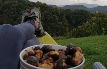 Rural house above the forest - Foto 21