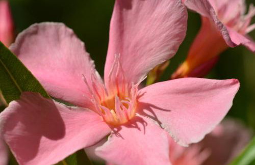 SWIM and CLIMB BAŠKA HOLIDAY HOUSE - island KRK - Foto 59