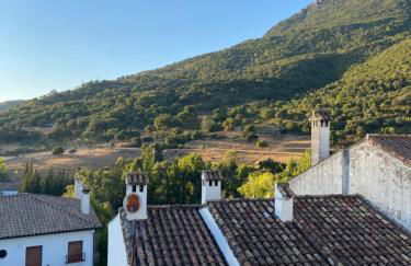 Las Palomas - Foto 55