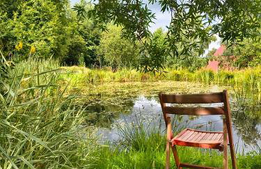 ApaLuza - Góry Izerskie & Karkonosze - Pool - Horses - Nature - Foto 41