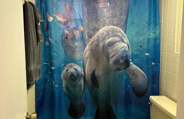 Professor Rousseau's Manatee Bay - Foto 16