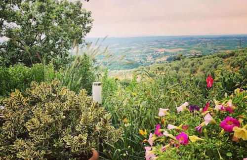 Villa Vestra in Vinci holiday home - Foto 21