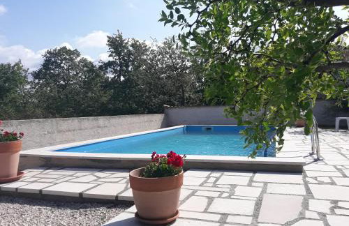 Apartments Angela - Foto 3