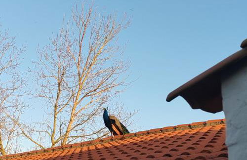 Gîte rustique dans le Marais breton vendéen, proche plages - FR-1-426-575 - Foto 20