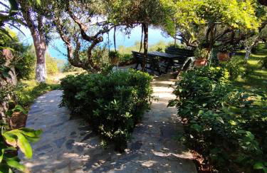 VILLA AGIA AIKATERINI - Foto 56