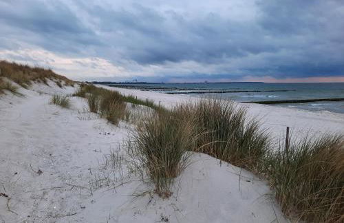 Ostseerauschen - Foto 34