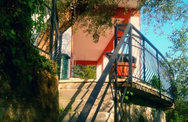 Oliva Azzurra - Foto 27