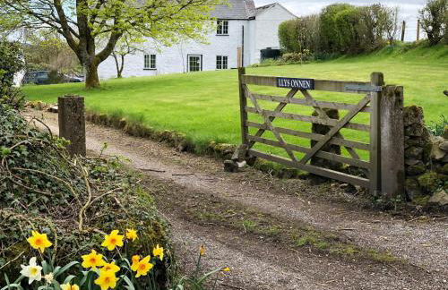 Llys Onnen - North Wales Holiday Cottage - Foto 2
