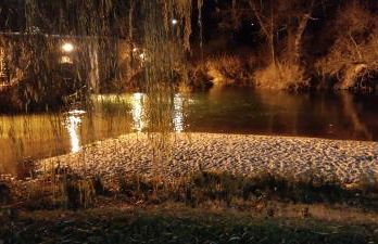 Finca Valdobar - Foto 44