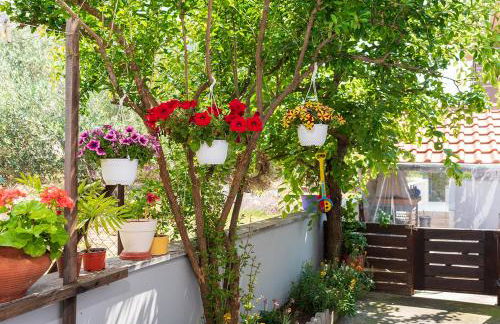 The backyard- Κατοικία στην Αγριά, Βόλου - Foto 23