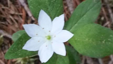 Ferienwohnung für 1 bis 2 Personen - Foto 4