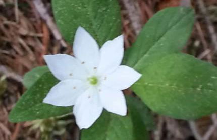 Ferienwohnung für 1 bis 2 Personen - Foto 4