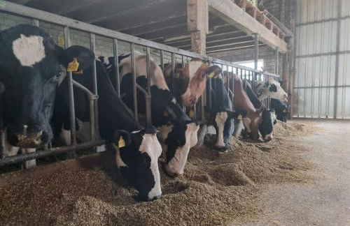 Ferienwohnung Lookenhof - Foto 27