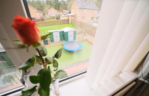 Forest View - Foto 22