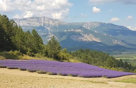 Le Tamaris - Foto 12