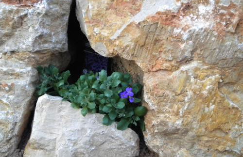 Villa Quietude - Foto 31