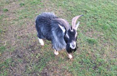 Mardi Gras, Upwell - Foto 38