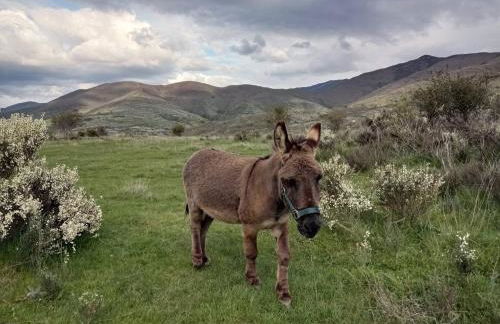 Casa de Abril 1 - Foto 29