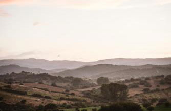 Auberge Santu Martine Cottage with Pool (Ollastru) - Foto 47