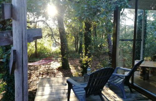 Natura Tiny House Porto - Foto 11