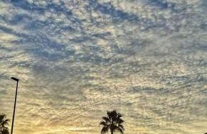 Cala puntal - Foto 13