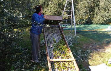 "Country House il Brolo" - Foto 40