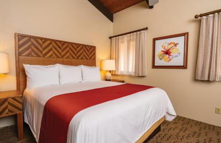 Wyndham Kona Coast Resort 1BR Apartment with Resort Access - Foto 69