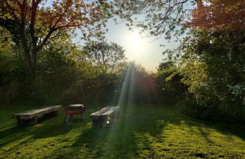 1 Bed in Rhydowen 85415 - Photo 12