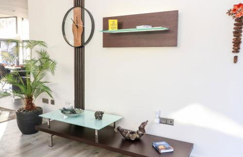 Heilan Roo - Foto 11