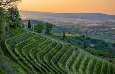 Centro Cormons - 3 Camere Letto & Balcone Privato - Foto 22