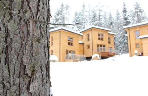 Forest Chalet Resort FELIZITAS - Foto 59