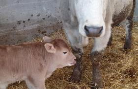 Agriturismo al Monte - Foto 9