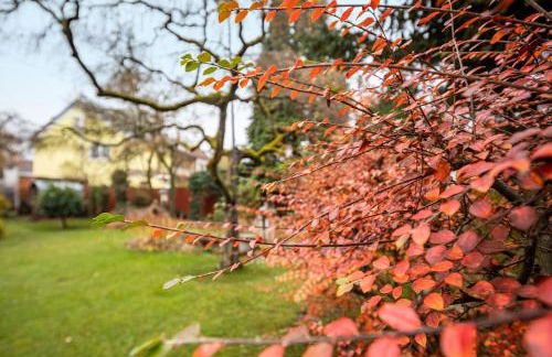 Vroni Ferienwohnung - Hochzoll - Foto 36