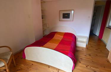 Maison située au Val de Baubère, petite vallée à coté du village de Seix - Foto 8