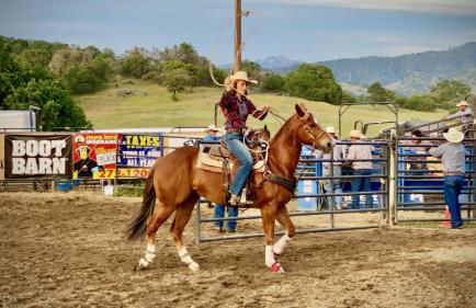 Scenic View Timber Lodge HotTub by Casa Oso - Foto 36