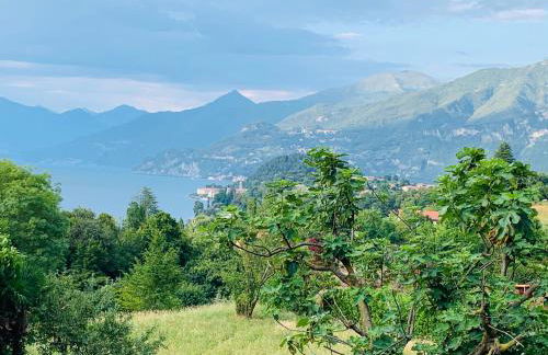 COTTAGE ROSE - Photo 8