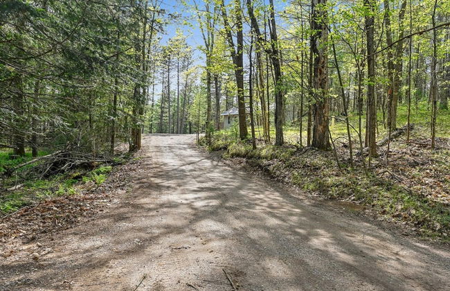 Tranquil Lakefront Oasis - Fire Pit Fishing BBQ - Foto 53