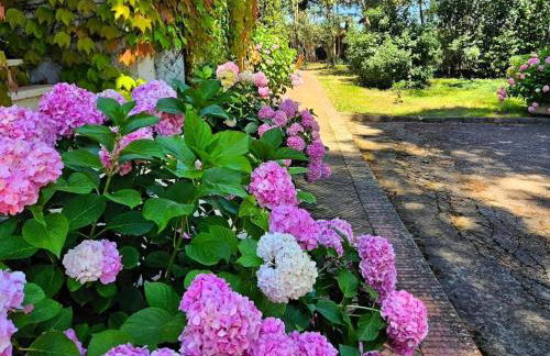 Aurora Holiday House - Foto 15