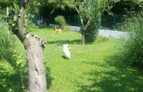 Two Bedroom Apartment - Photo 28