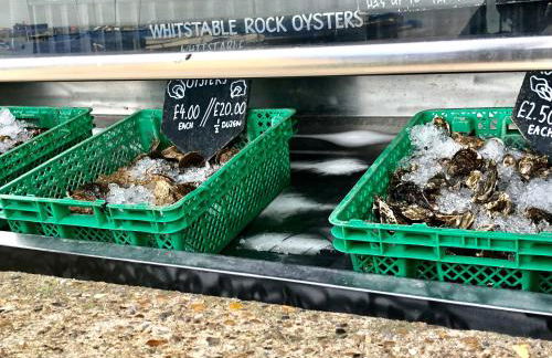 Independent rural detached annexe with free private Parking - Foto 111