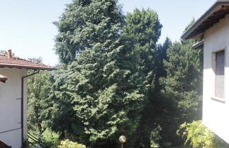 Il cortile dei cipressi - Caravate large apartment - Foto 24