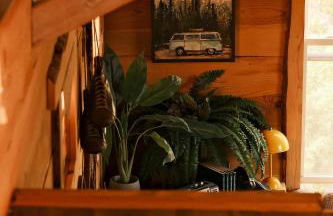 Crows Nest Treehouse At El Mistico Ranch - Foto 30