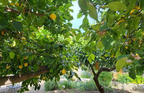 Affittacamere Sophie - Foto 23